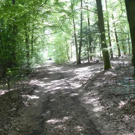 Fuer 2 Personen 45 M² * Eggesin